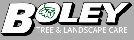 Boley Tree & Landscape Care, Inc.